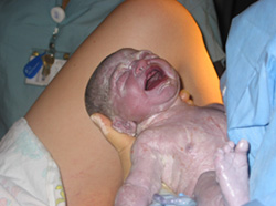 Ett nyfödd barn
